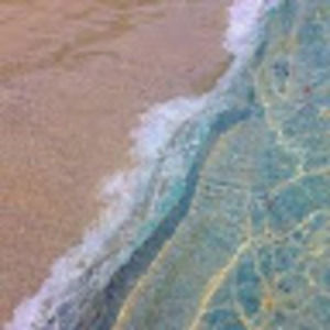 Meet your Posher, Violet